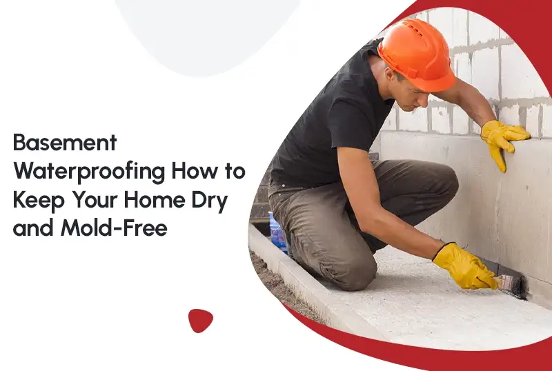 Basement Waterproofing: How to Keep Your Home Dry and Mold-Free
