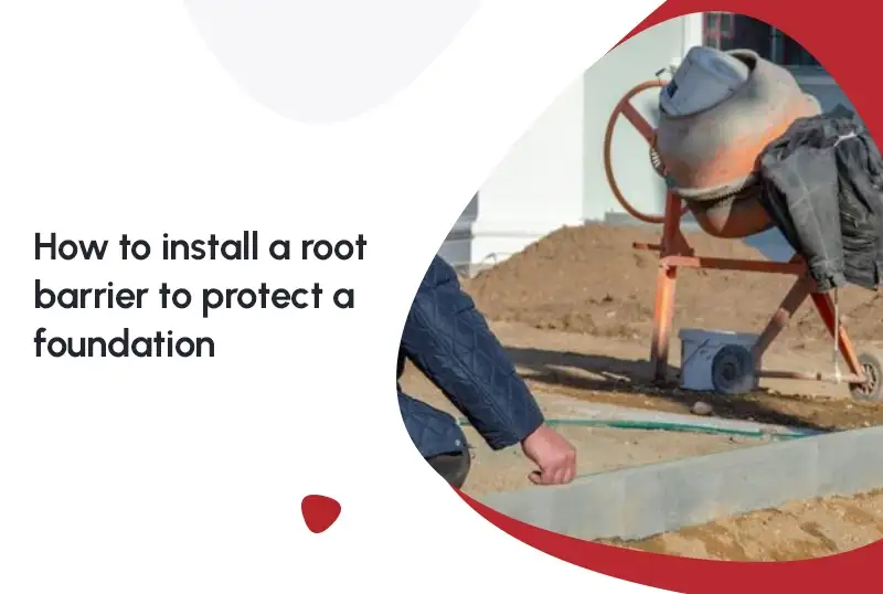 How to Install a Root Barrier to Protect a Foundation: A Complete Homeowner’s Guide