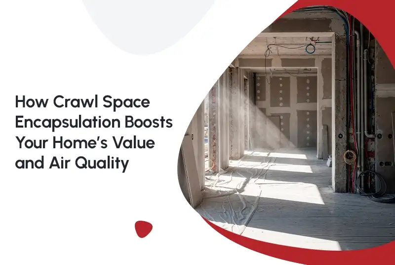 How Crawl Space Encapsulation Boosts Your Home’s Value and Air Quality