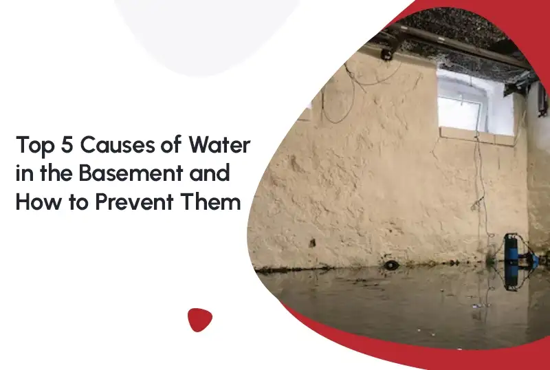 Top 5 Causes of Water in the Basement and How to Prevent Them