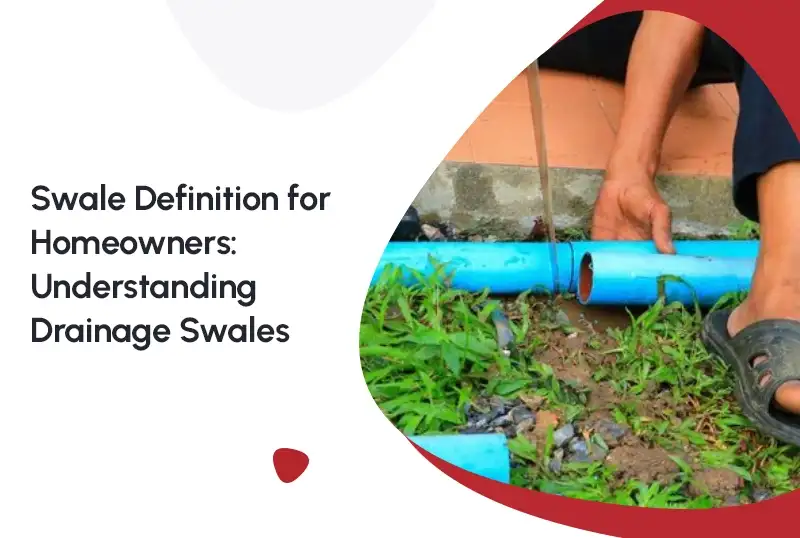 Swale Definition for Homeowners: Understanding Drainage Swales